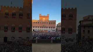 Palio Siena 2024 [upl. by Naahsar]