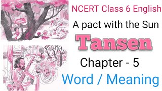 Class 6 english Tansen word meaning  Class 6 english suppplementary Chapter 5 word Meaning [upl. by Rakel704]