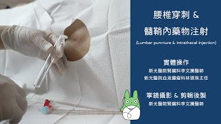 腰椎穿刺 amp 髓鞘內藥物注射 Lumbar puncture amp Intrathecal injection 腰椎穿刺 amp 硬膜外薬剤注入 新光醫院血液腫瘤科 林瑛珠主任 4K60p [upl. by Feldstein]