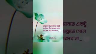 Islamic caption status video❤️islamic captionislamic caption bangla [upl. by Aicsila]