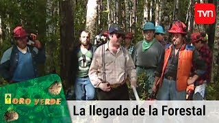 La llegada de la forestal  Oro verde  T1E1 [upl. by Sammy798]