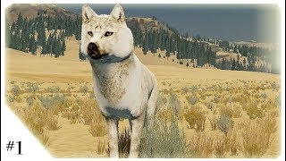 1 WolfQuest Anniversary Edition CZ [upl. by Suirtemed126]