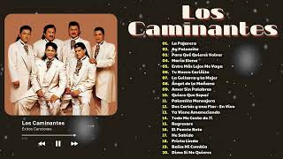 LOS BUKIS LOS CAMINANTES Y LOS YONICS ÉXITOS SUS MEJORES CANCIONES  PURAS ROMANTICAS PARA ENAMORAR [upl. by Ycnaffit]