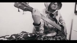 A DIDAS Korn bass cover [upl. by Saleem]