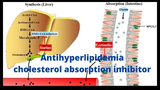 Antihyperlipidemia part 07Cholesterol absorption inhibitor EzetimibepharmdScienceandmedicine [upl. by Aieken307]