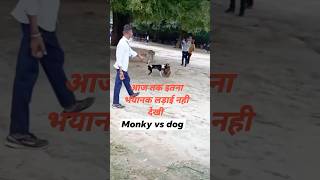 Monkey vs dog😱😳🙀shotrs shorts short youtubeshorts trending [upl. by Anaehr]