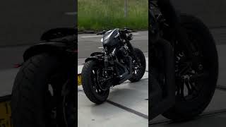 Harley Davidson 48 1200 cc jattlife 🏍️🤍🤩 [upl. by Ij]