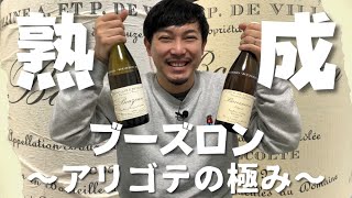 【フランス 白ワイン】熟成アリゴテ飲み比べ！DRCの経営者が造る極上ブーズロン！ ゆきおとワイン365「Domaine de Villaine Bouzeron 2006 amp 1997」 [upl. by Amikat]