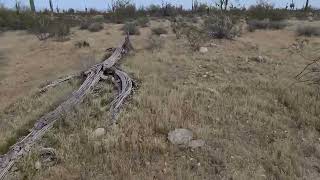 Amber Barnett Search  White Tank Mountain Regional Park Part 2 [upl. by Joe]