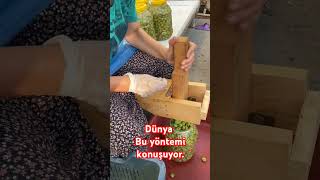 Zeytin Kırma zeytin gemlik cukurova [upl. by Yasnyl]