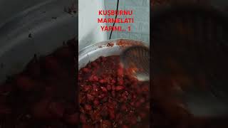 KUŞBURNU MARMELATI YAPIMI 1 [upl. by Lisha213]