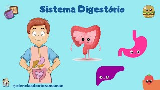 Sistema Digestivo ou Digestório 5º ano fundamental [upl. by Aisatsanna]