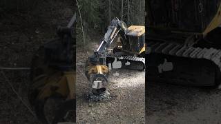 Putting a log on the fire 870c tigercat campfire forestry logger heavyequipment machinery [upl. by Evadnee822]