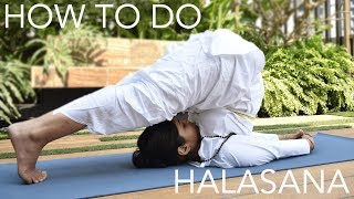 How to do Halasana The Plow Pose  SRMD Yoga [upl. by Josler159]