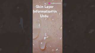 How many layers do we have in Skin  Skin layers information in Urdu [upl. by Greenman557]