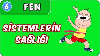 Sistemlerin Sağlığı  6 Sınıf Fen evokul Kampı [upl. by Mowbray]