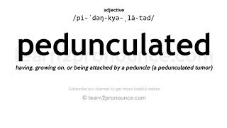 Pronunciation of Pedunculated  Definition of Pedunculated [upl. by Dunc]