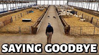 until we meet again  saying goodbye to my sheep amp hello to a new member of the family Vlog 769 [upl. by Carol-Jean]