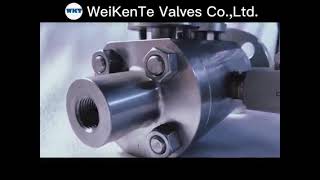 Double block and bleed Valve you want to know [upl. by Narok]