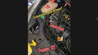 Own a Focus ST DO THIS NOW for your ecoboost longevity [upl. by Dee]