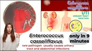 enterococcus microbiology lecture enterococcus casseliflavus Easy Microbiology [upl. by Llertnom971]