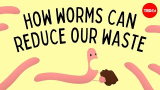 Vermicomposting How worms can reduce our waste  Matthew Ross [upl. by Nilesoj965]