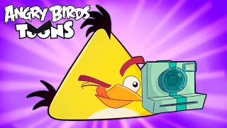 Angry Birds Toons Season 2  Ep 21 to 26 [upl. by Liatrice]