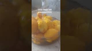 LICOR DE PEQUI [upl. by Nobell82]