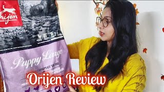 Orijen Dog Food Review  Orijen Puppy Food [upl. by Fields546]