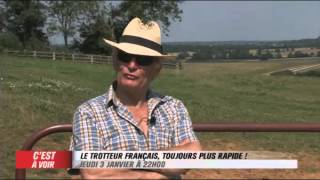 EXTRAIT  Le trotteur français toujours plus rapide  Equidia Live [upl. by Marthe520]