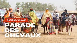 Adossa Gadao  danse des chevaux  DestinationTogo [upl. by Darmit729]