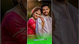 Un manasula pattuthaan irukkuthu song status video Tamil trending viralvideo subscribe [upl. by Howes]