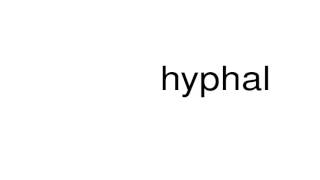 How to pronounce hyphal [upl. by Acinelav]