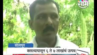 Solapur based farmer Dilip Dunes success story of Bitter Gourd farming [upl. by Orpha]