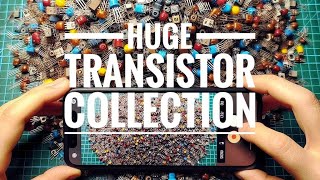 HUGE Collection of Transistors BJTs MOSFETs JFETs SCRs TRIACs IGTSs [upl. by Artemahs]