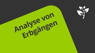 Übung zu Der Stammbaum  Analyse des Erbganges  Biologie  Genetik [upl. by Philbo]