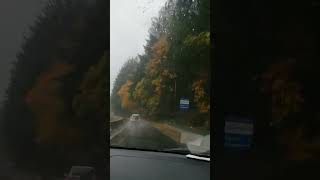 2024 Fall in Malahat BC [upl. by Yeargain]