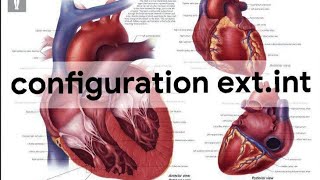 UNITE 1Cardio respiratoireANATOMY configuration extet int du cœur2éme année médecine [upl. by Foah]