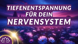 Einschlafmeditation zum Beruhigen des Nervensystems ✨ mit heilsamen 528Hz Frequenzen amp Schlussmantra [upl. by Ylirama]