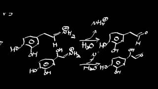 Biochemistry  Schiff Base Chemistry Part 22  Monoamine Oxidase Mechanism [upl. by Blainey992]