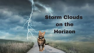 Weathering the Storm of the new American work economy [upl. by Beller]