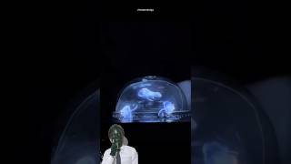 2G Hologram projector screen 2ghologram lifehack trending experimemt maskman [upl. by Hoisch]