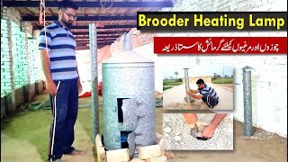 how to install brooder heating lamp for poultry farm  chicken wood bhatti [upl. by Thar]