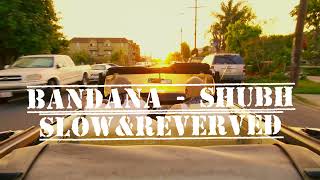 Bandana by Shubh  LoFi  Slow  Reverved [upl. by Sihonn]