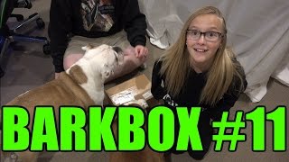 BarkBox Unboxing 11 November Edition [upl. by Lietman828]