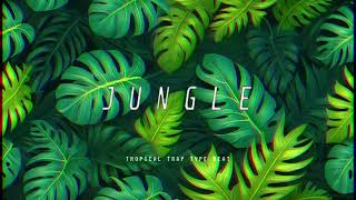 FREE Tropical Trap Type Beat  quotJunglequot [upl. by Ahsenrad]