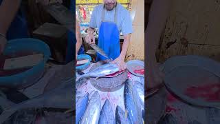 Amazing skin peeling yellowfin tuna shorts [upl. by Radford]