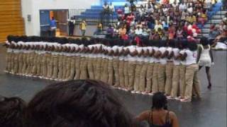 Deltas Sigma Theta Probate  Albany State University [upl. by Auqenehs738]