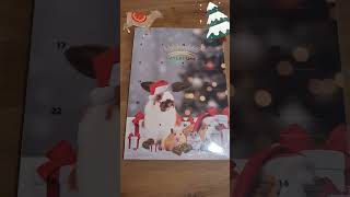 Advent calendar for guinea pigs 🩷🎄☃️❄️ Do you want to unzip to videoadventcalendar guineapigs [upl. by Kirsteni]