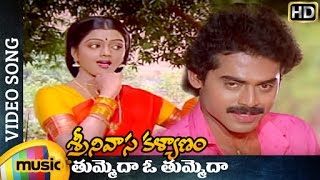 Vastadu Naa Raju Movie  Back To Back Comedy Scenes Part 2  Vishnu  Tapsee [upl. by Earal]